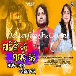 Palinki Chadhi Pagadi Bhidi